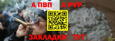 спиды Новодвинск