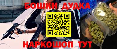 спиды Новодвинск