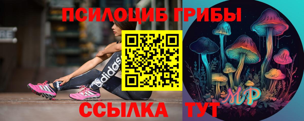 Галлюциногенные грибы Psilocybine cubensis  наркошоп  Галлюциногенные грибы Psilocybe  Азнакаево  Вход с VPN 